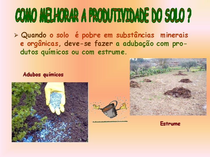 Ø Quando o solo é pobre em substâncias minerais e orgânicas, deve-se fazer a