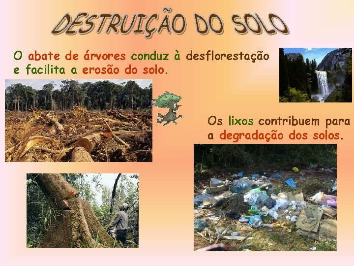O abate de árvores conduz à desflorestação e facilita a erosão do solo. Os