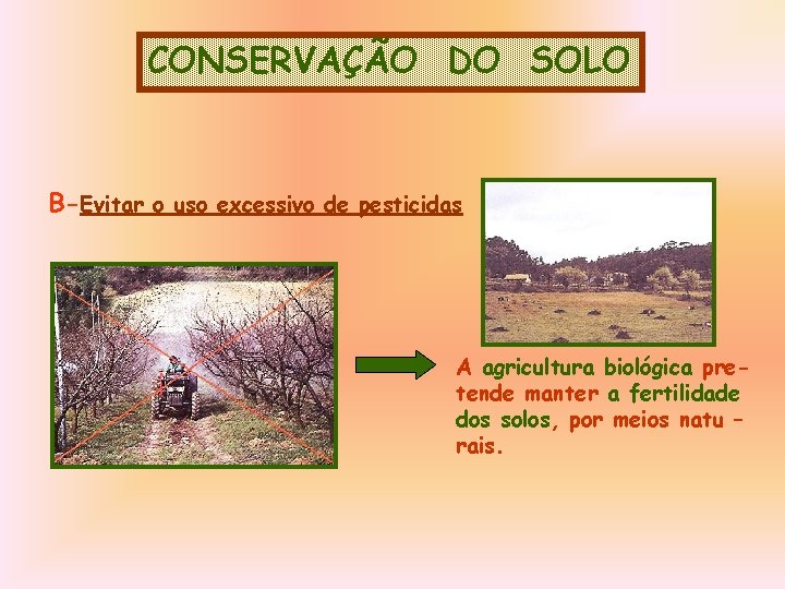 CONSERVAÇÃO DO SOLO B-Evitar o uso excessivo de pesticidas A agricultura biológica pretende manter