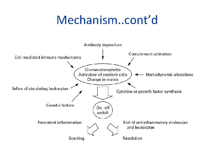 Mechanism. . cont’d 