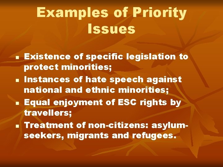 Examples of Priority Issues n n Existence of specific legislation to protect minorities; Instances