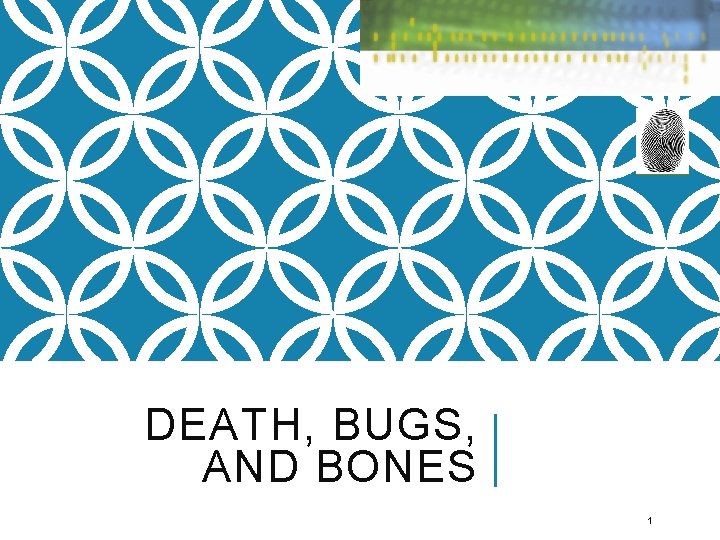 DEATH, BUGS, AND BONES 1 