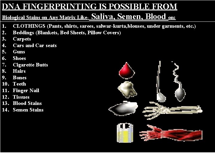 DNA FINGERPRINTING IS POSSIBLE FROM Biological Stains on Any Matrix Like- Saliva, Semen, Blood