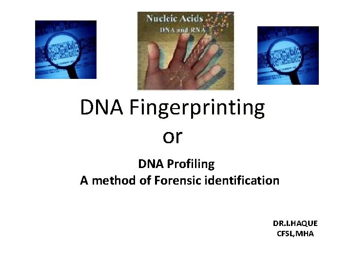 DNA Fingerprinting or DNA Profiling A method of Forensic identification DR. I. HAQUE CFSL,