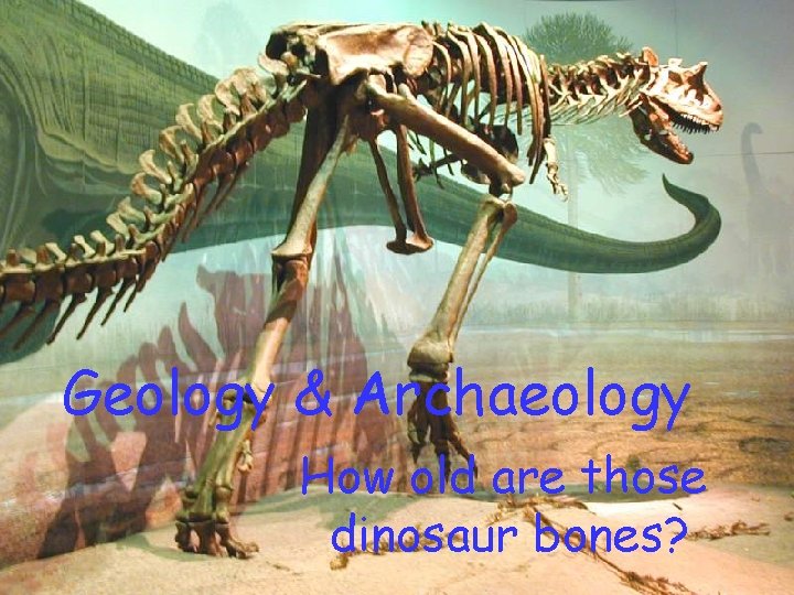 Geology & Archaeology How old are those dinosaur bones? Geology & Archaeology How old are those dinosaur bones?