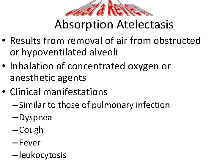 Absorption Atelectasis • Results from removal of air from obstructed or hypoventilated alveoli •