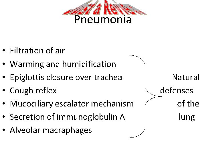 Pneumonia • • Filtration of air Warming and humidification Epiglottis closure over trachea Cough