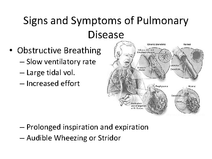 Signs and Symptoms of Pulmonary Disease • Obstructive Breathing – Slow ventilatory rate –