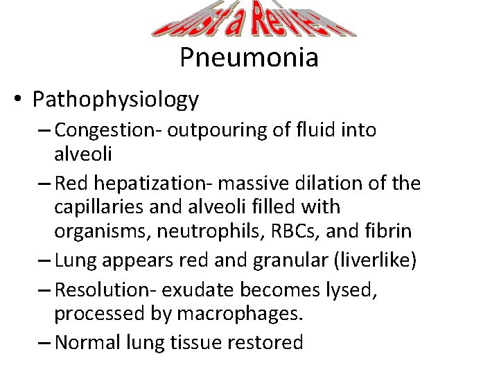 Pneumonia • Pathophysiology – Congestion- outpouring of fluid into alveoli – Red hepatization- massive
