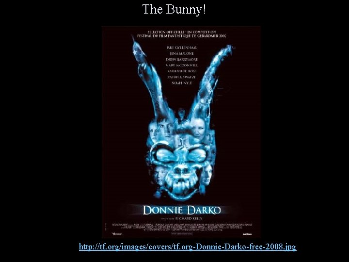 The Bunny! http: //tf. org/images/covers/tf. org-Donnie-Darko-free-2008. jpg 