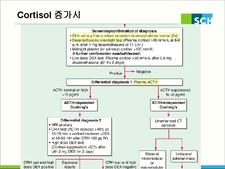 Cortisol 증가시 