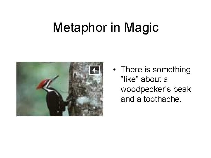 Metaphor in Magic • There is something “like” about a woodpecker’s beak and a Metaphor in Magic • There is something “like” about a woodpecker’s beak and a