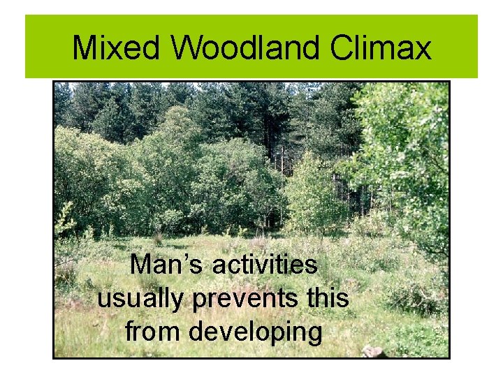 Mixed Woodland Climax Man’s activities usually prevents this from developing 