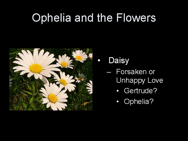 Ophelia and the Flowers • Daisy – Forsaken or Unhappy Love • Gertrude? •