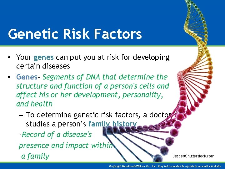 Genetic Risk Factors • Your genes can put you at risk for developing certain