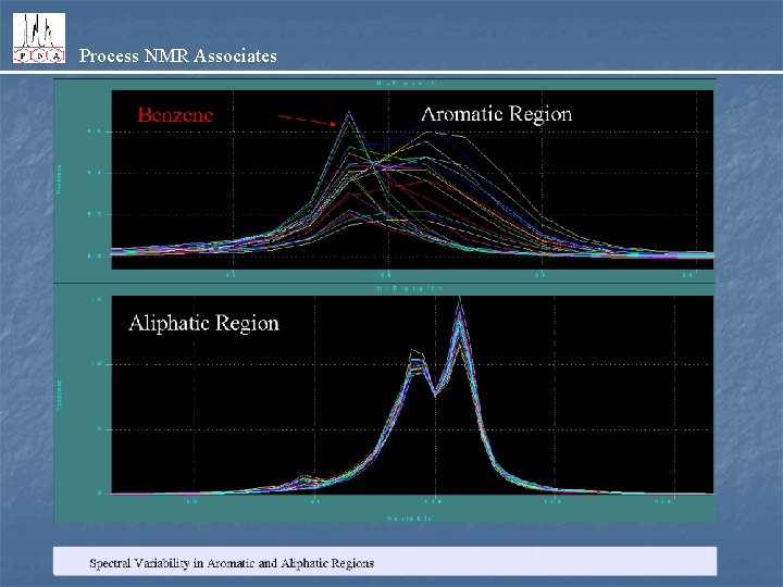 Process NMR Associates 