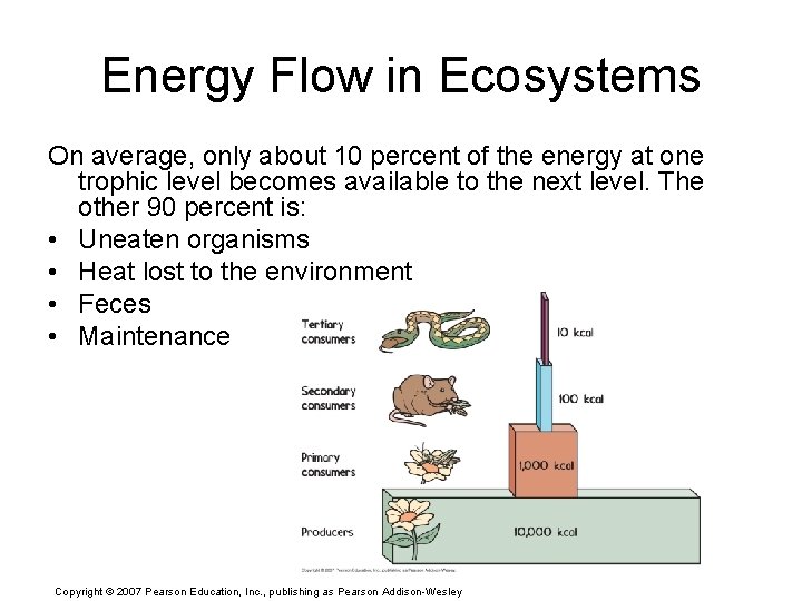 Energy Flow in Ecosystems On average, only about 10 percent of the energy at