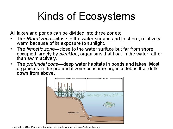 Kinds of Ecosystems All lakes and ponds can be divided into three zones: •