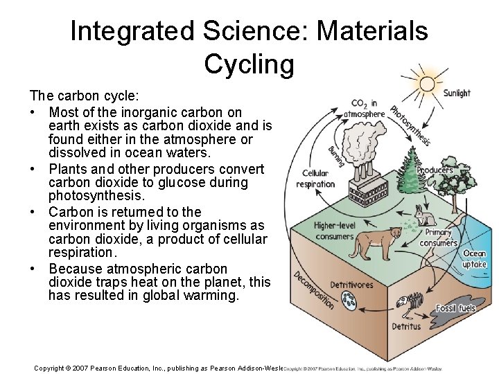 Integrated Science: Materials Cycling The carbon cycle: • Most of the inorganic carbon on