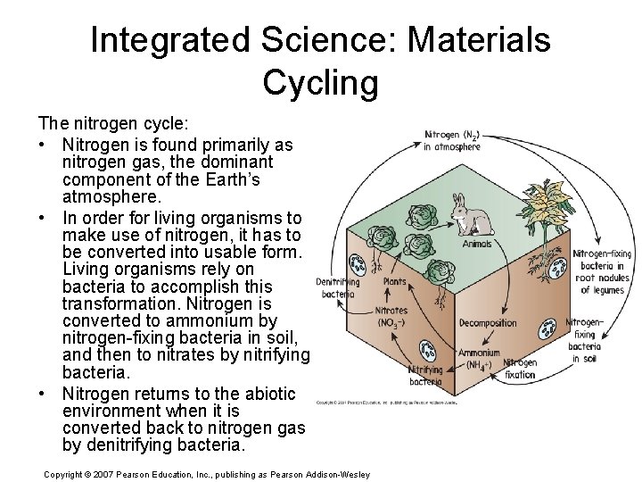 Integrated Science: Materials Cycling The nitrogen cycle: • Nitrogen is found primarily as nitrogen