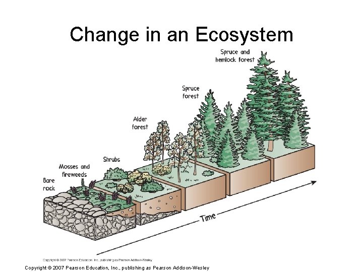 Change in an Ecosystem Copyright © 2007 Pearson Education, Inc. , publishing as Pearson