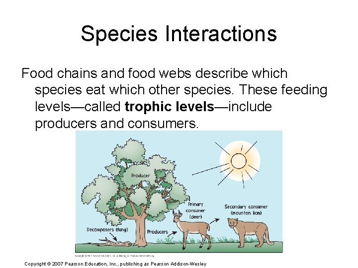 Species Interactions Food chains and food webs describe which species eat which other species.
