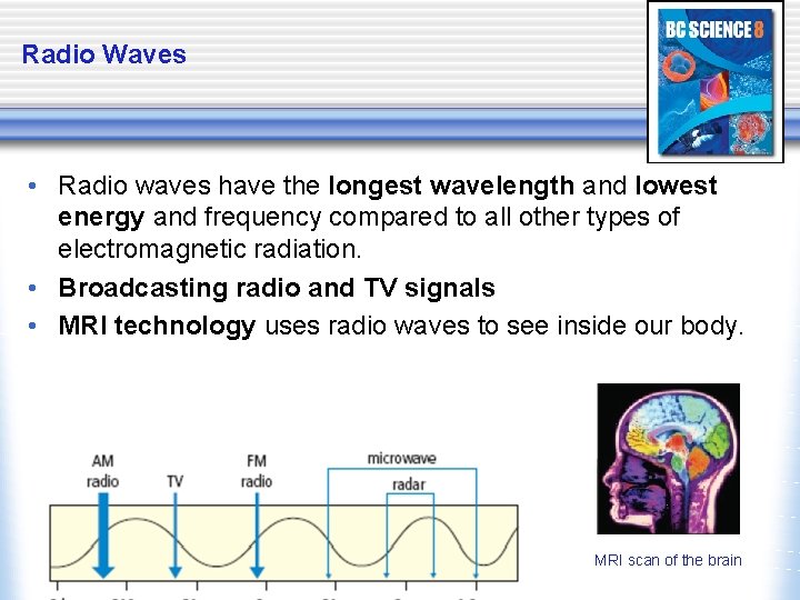 Radio Waves • Radio waves have the longest wavelength and lowest energy and frequency