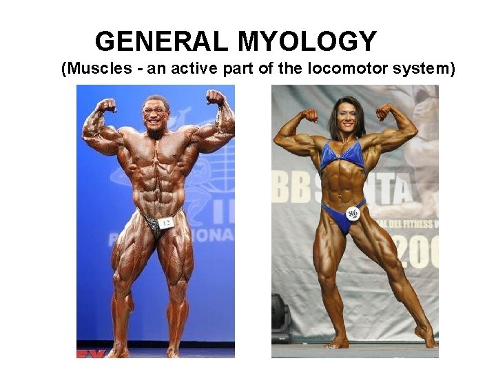GENERAL MYOLOGY (Muscles - an active part of the locomotor system) 