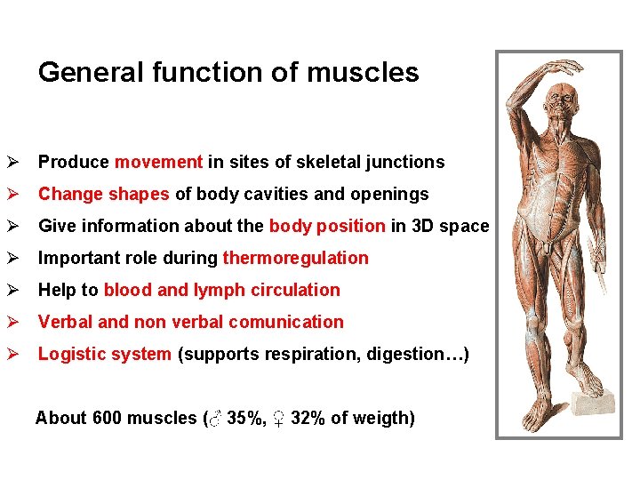 General function of muscles Ø Produce movement in sites of skeletal junctions Ø Change