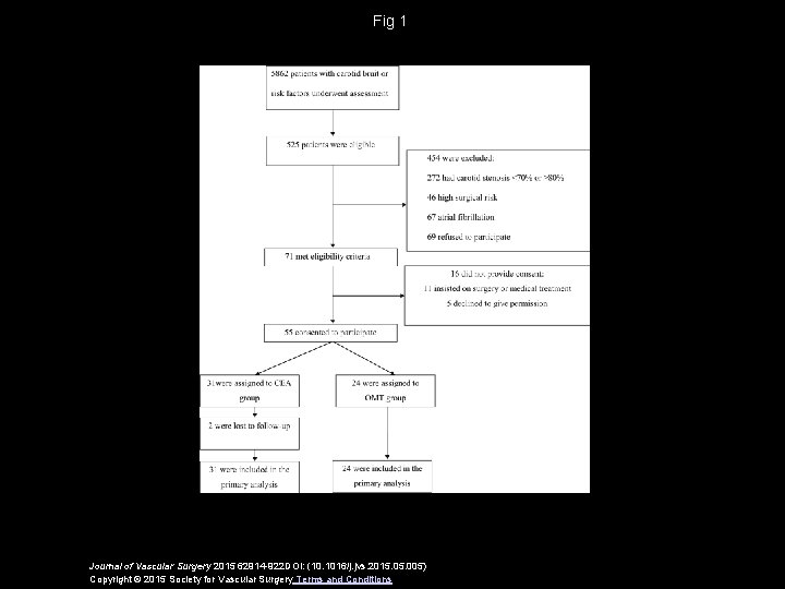 Fig 1 Journal of Vascular Surgery 2015 62914 -922 DOI: (10. 1016/j. jvs. 2015.