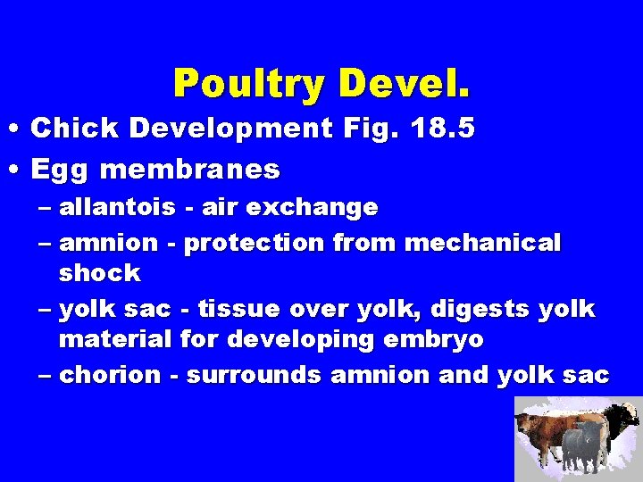 Poultry Devel. • Chick Development Fig. 18. 5 • Egg membranes – allantois -