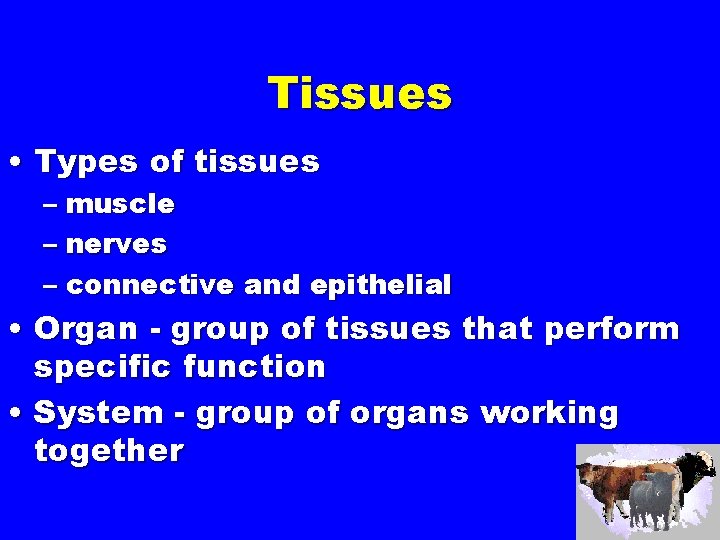 Tissues • Types of tissues – muscle – nerves – connective and epithelial •