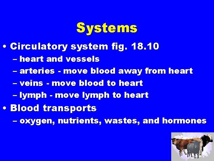 Systems • Circulatory system fig. 18. 10 – heart and vessels – arteries -