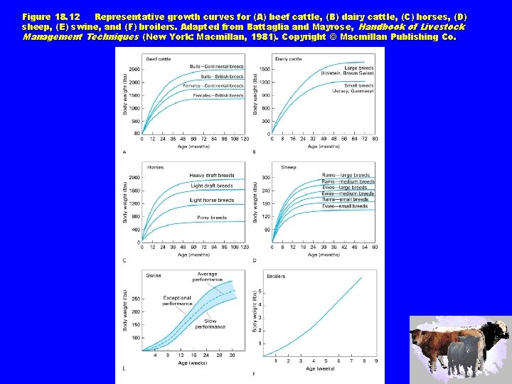 Figure 18. 12 Representative growth curves for (A) beef cattle, (B) dairy cattle, (C)