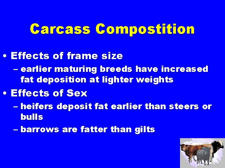 Carcass Compostition • Effects of frame size – earlier maturing breeds have increased fat