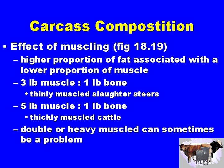 Carcass Compostition • Effect of muscling (fig 18. 19) – higher proportion of fat