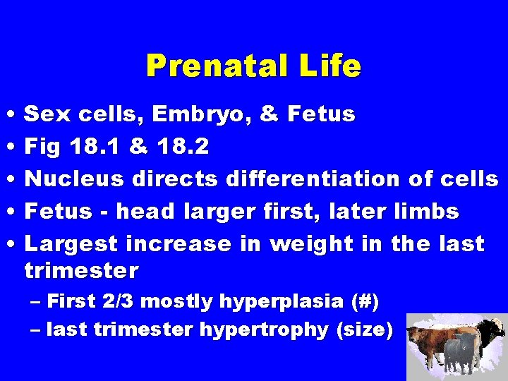 Prenatal Life • Sex cells, Embryo, & Fetus • Fig 18. 1 & 18.