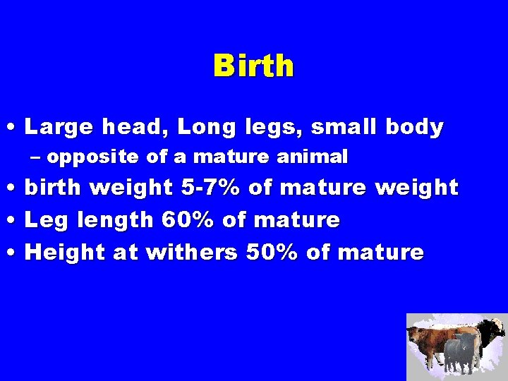 Birth • Large head, Long legs, small body – opposite of a mature animal