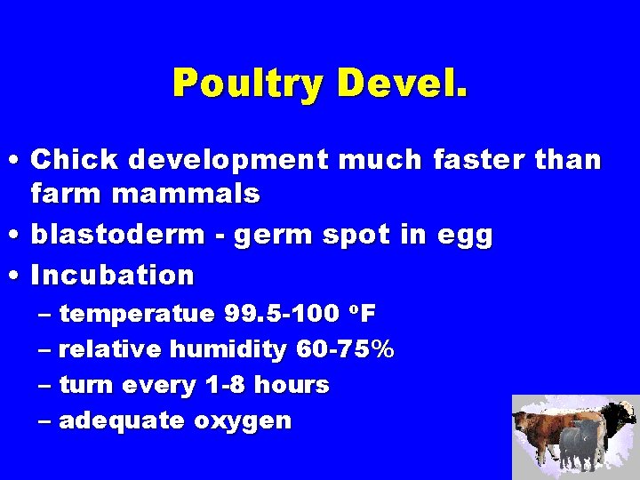 Poultry Devel. • Chick development much faster than farm mammals • blastoderm - germ