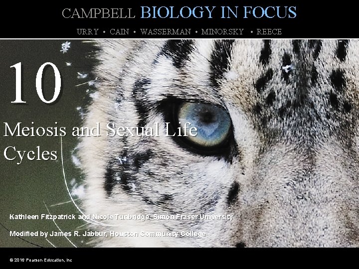 CAMPBELL BIOLOGY IN FOCUS URRY • CAIN • WASSERMAN • MINORSKY • REECE 10