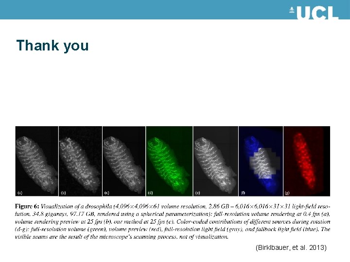 Thank you (Birklbauer, et al. 2013) Thank you (Birklbauer, et al. 2013)