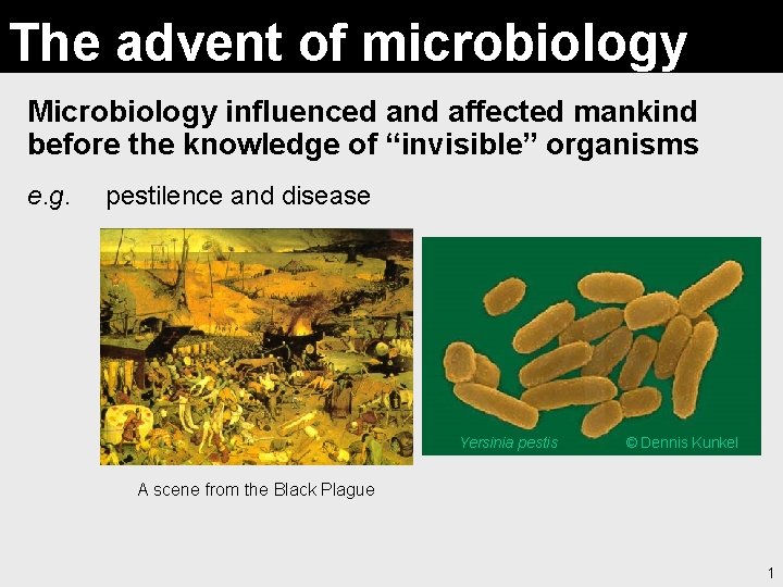 The advent of microbiology Microbiology influenced and affected mankind before the knowledge of “invisible”