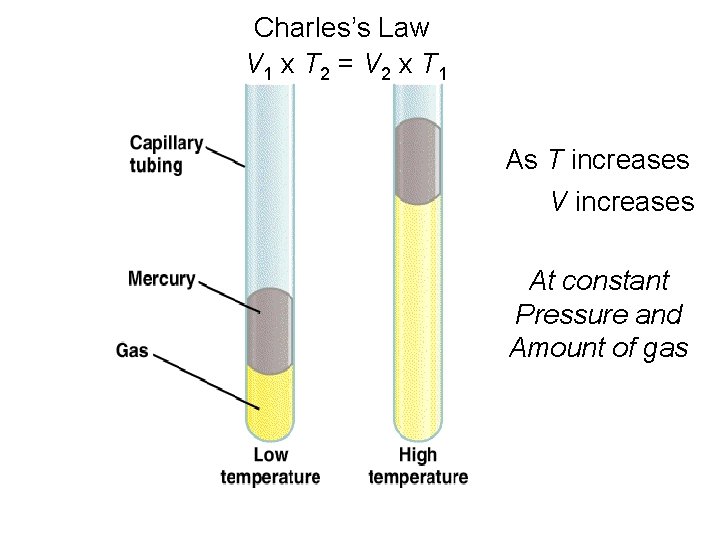Charles’s Law V 1 x T 2 = V 2 x T 1 As