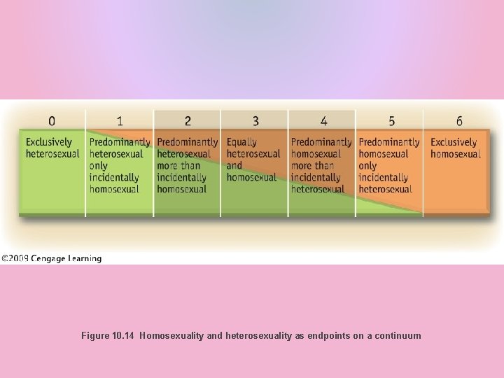 Figure 10. 14 Homosexuality and heterosexuality as endpoints on a continuum 
