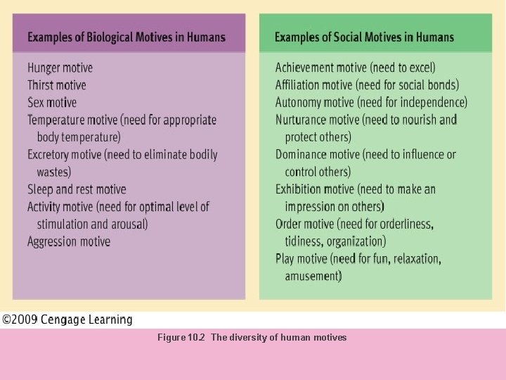 Figure 10. 2 The diversity of human motives 