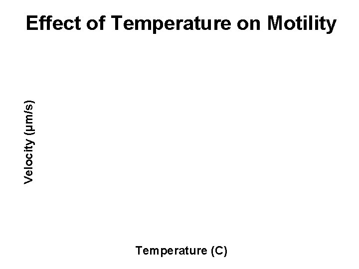 Velocity (µm/s) Effect of Temperature on Motility Temperature (C) 