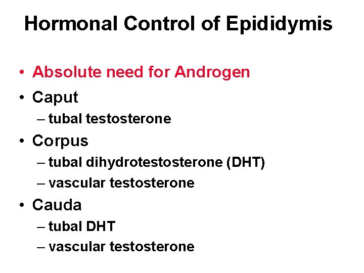 Hormonal Control of Epididymis • Absolute need for Androgen • Caput – tubal testosterone