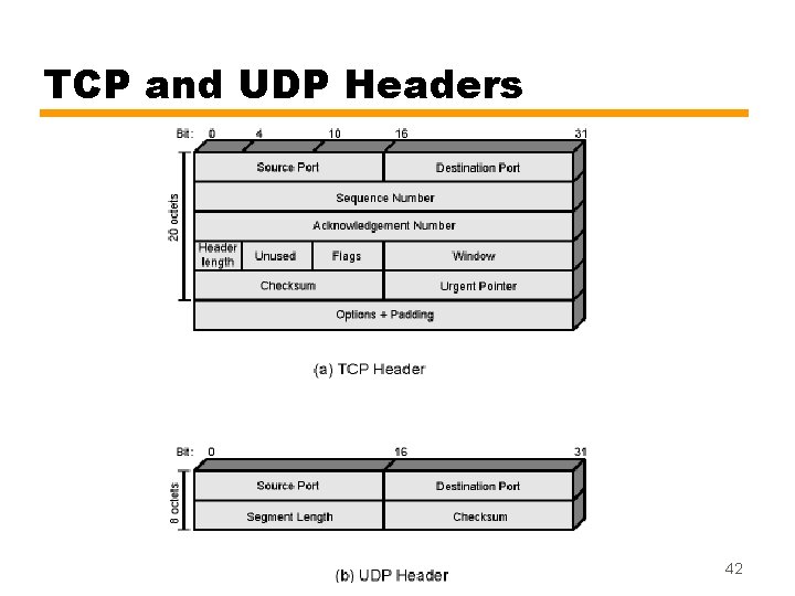 TCP and UDP Headers 42 