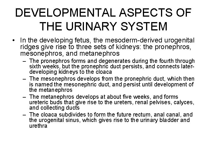 DEVELOPMENTAL ASPECTS OF THE URINARY SYSTEM • In the developing fetus, the mesoderm-derived urogenital