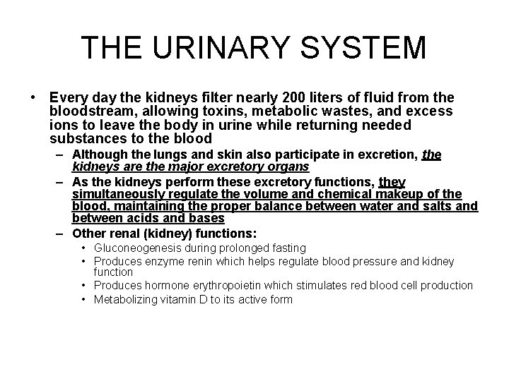 THE URINARY SYSTEM • Every day the kidneys filter nearly 200 liters of fluid